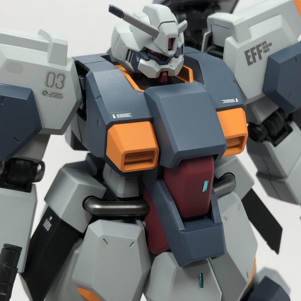 HGグスタフ・カール