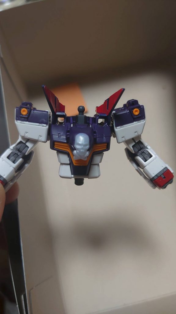 フルクロスの襟と真ん中のスカルを干渉する部分をニッパーでぶつ切りしてヤスリで切断面を整えて接着して取り付け完了。