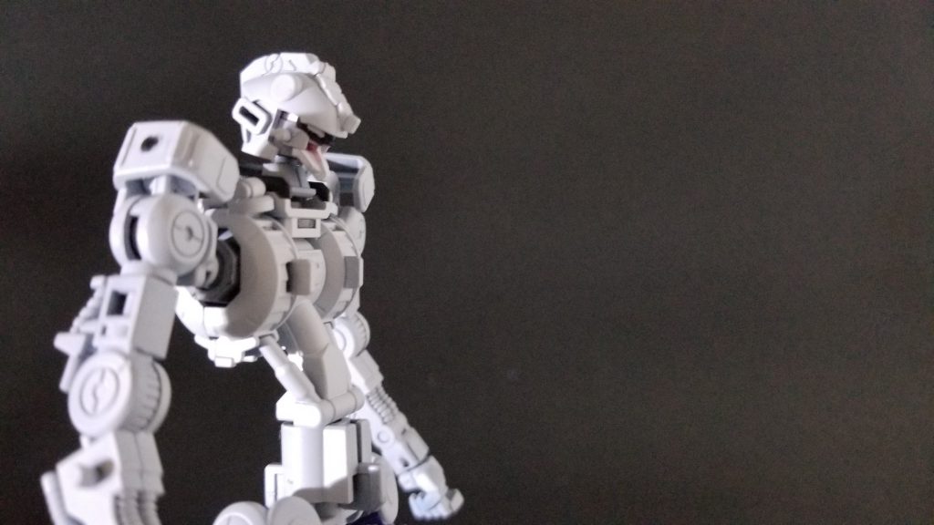 フレームバストアップ
今回、目は悩んだ末白色にしました(^^;;
骸骨感が出てしっくり来たので(*´ω｀*)