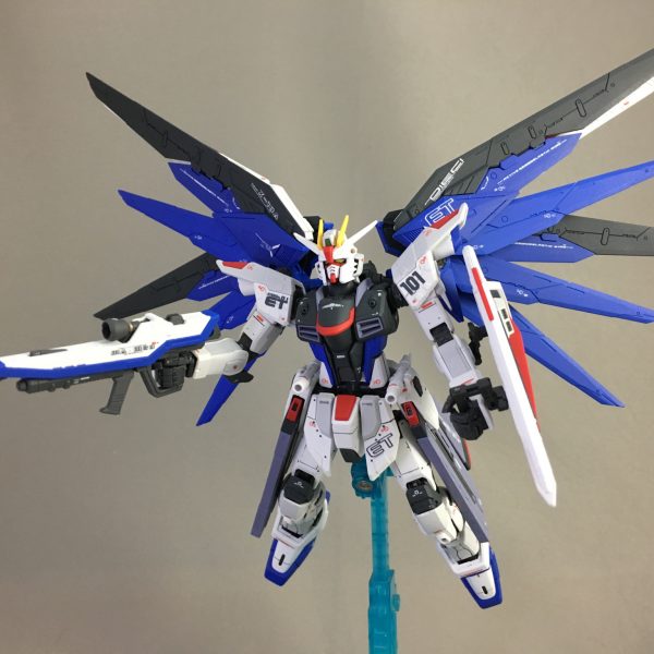 RGフリーダムガンダム