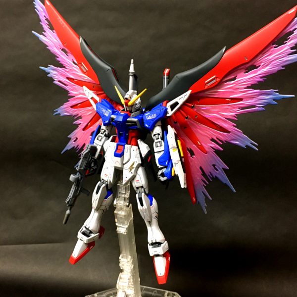 HGCEデスティニー