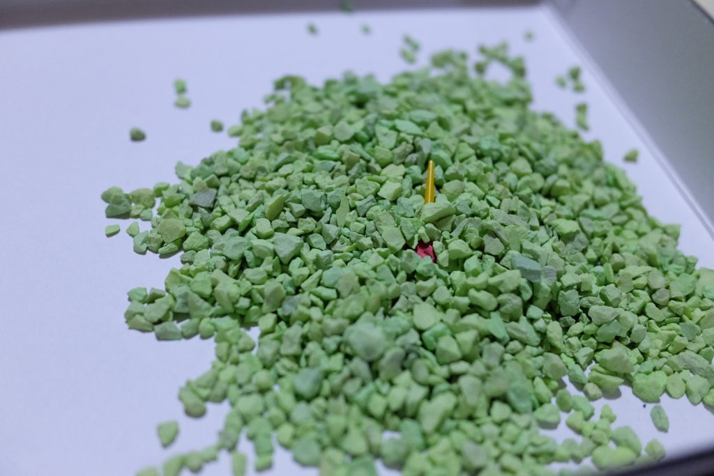 ペレットを観察してみましょう。
といっても、正直なところ、緑色のペレットにしか見えない……
おや?
何か埋まっているようですね。
取り出してみましょう。