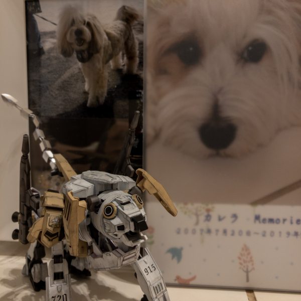 〜R.I.P.〜current runner