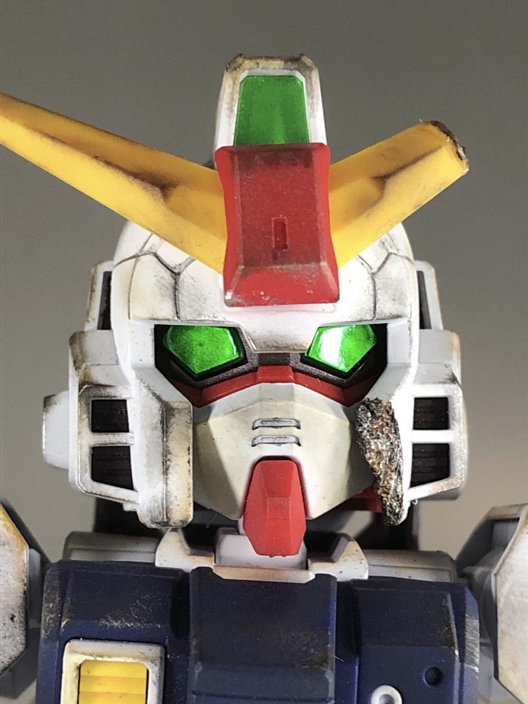 お顔もボロボロです(笑)
個人的に目元の輝きがお気に入り…