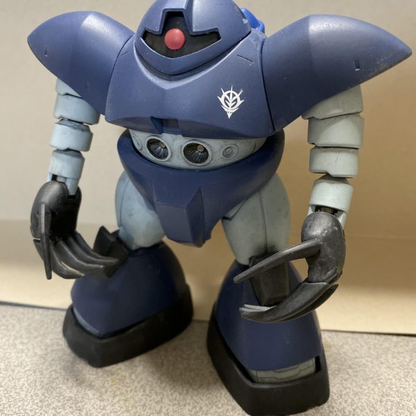 我が家の水泳部部長 ゴッグさん