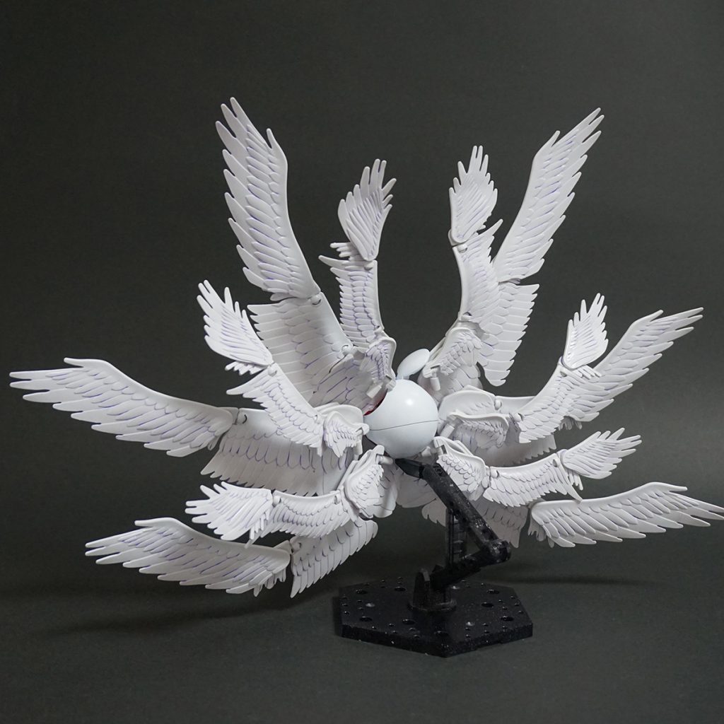 バックショットです。