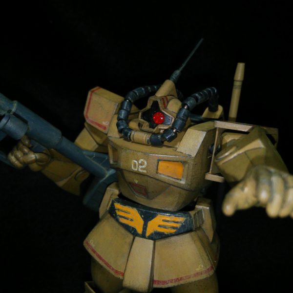 トロピカルテストタイプ・ドム