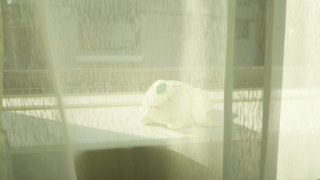 カーテンの向こうで寝てらっしゃる