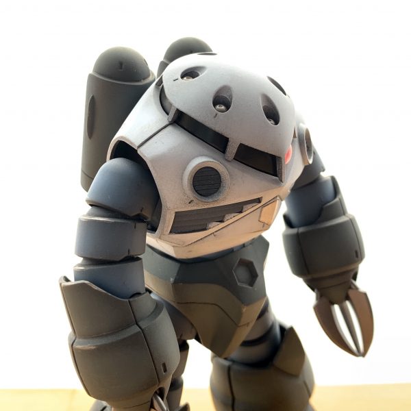 HGUC ズゴック(MG風)