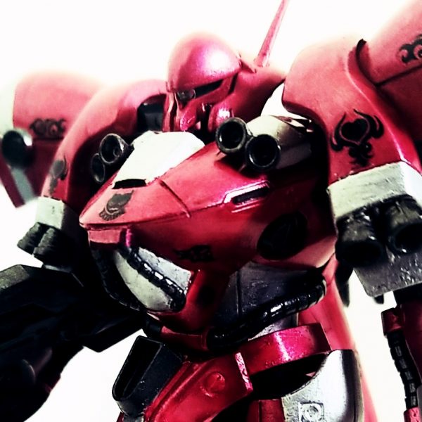 ガーベラ・テトラ