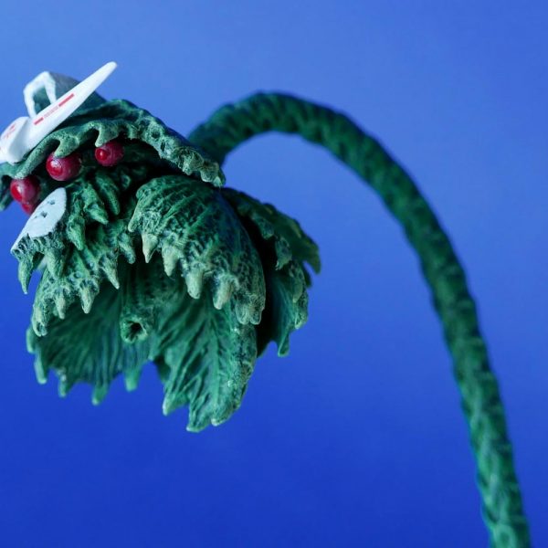 デビルガンダムヘッドの盆栽