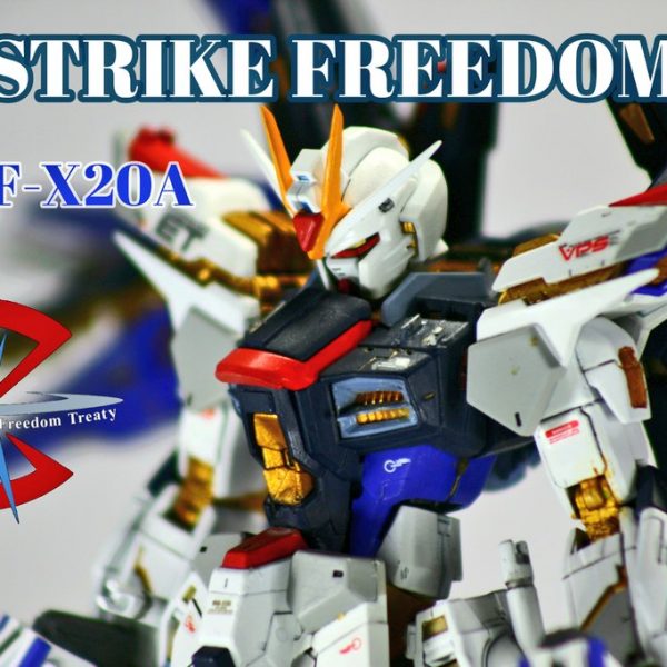 RGストライクフリーダム 自由への翼