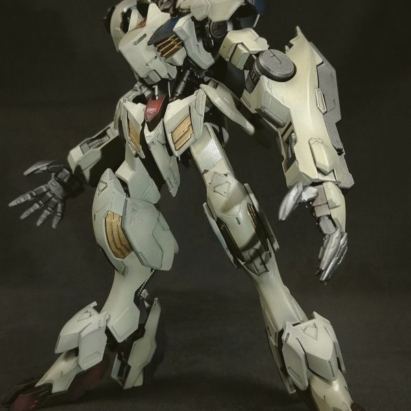 1dayルプスレクス