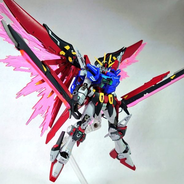 ヴェスティージデスティニー