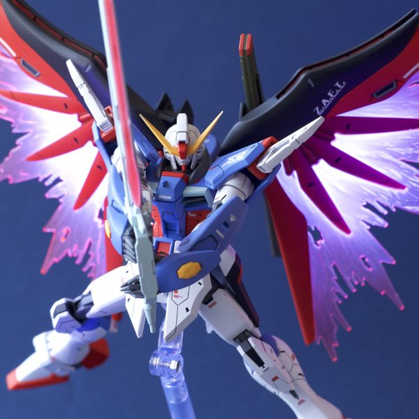 HGCEデスティニー