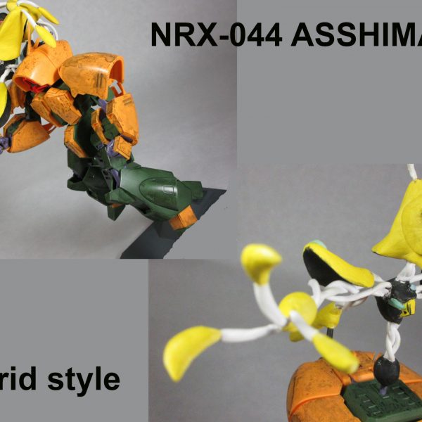 ジェリド専用アッシマー