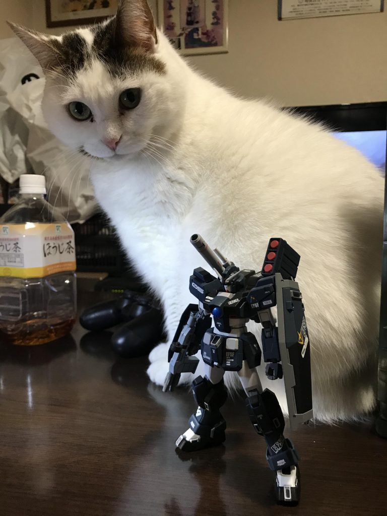 ネコ型ＭＡと一緒に👍