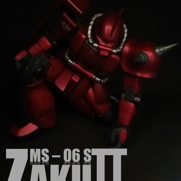 MS-06S ZAKUⅡ No1