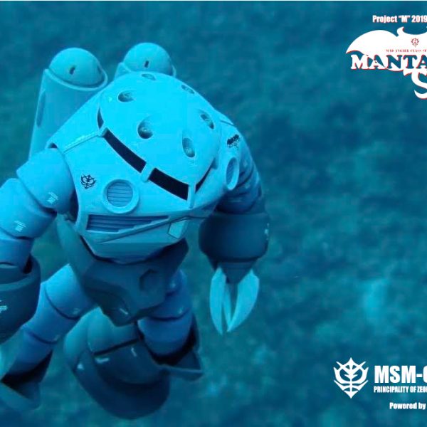 マンタレイ部隊 ＭＳ小隊隊長機