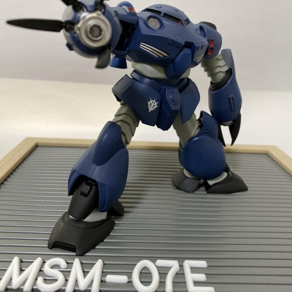 我が家の水泳部のお洒落さん、ズゴックEさん