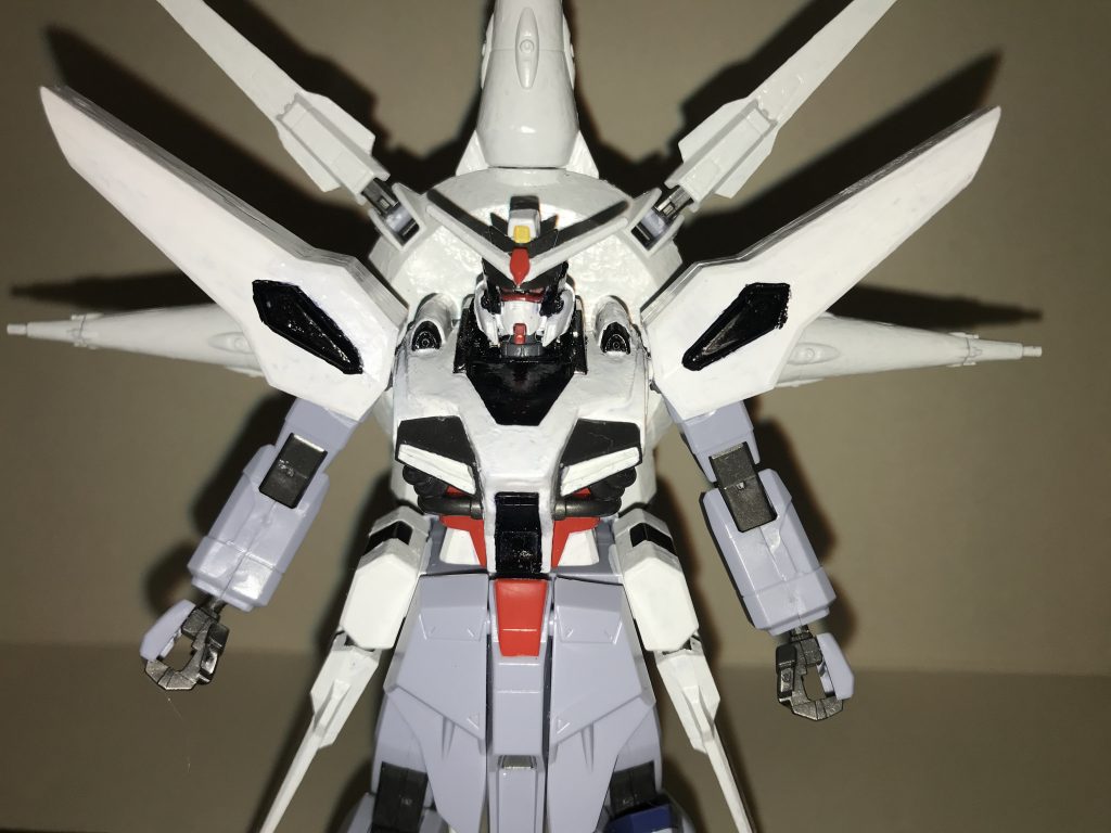 外観本家のプロヴィデンスと比較すると、胸部、両肩部、腰部、そして全身に装備されていた11基のビーム砲端末は、白と黒を基調としたデザインに変化し、頭部のブレードアンテナとその付近のフェイスカバーには、白・黒・赤のカラーリングが追加されており、ツインアイはメタレッドに変化している。機体構造本来のカラーリングは、実は本家のものと全く同一だが、闇のDG細胞の生成・制御を行う小型デバイスを、コックピットに接続してから起動させることで、本来のカラーリングのプロヴィデンスガンダムから、この形態へとカラーリングが変化し、最強形態であるこの姿へと進化を遂げる事ができる。