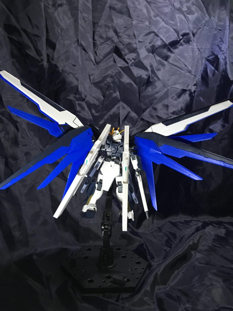 展開(背中から)