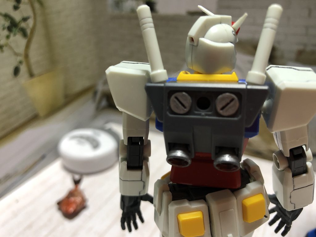 グフとルンバと休日を–4枚目/制作者：石の湯