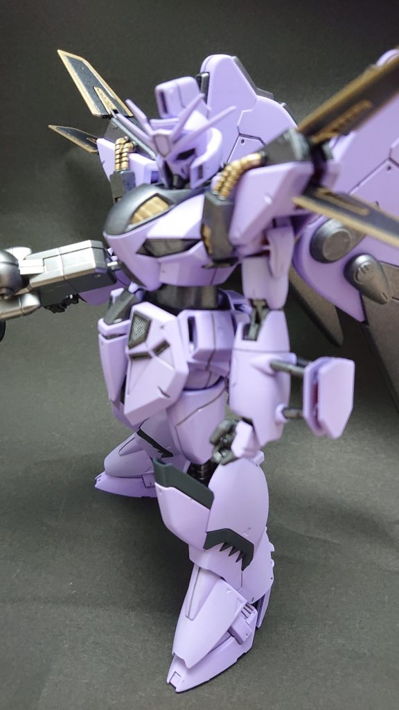 ビギナ・ギナⅡ  ドレル・ロナカスタム–3枚目/制作者：mu-san