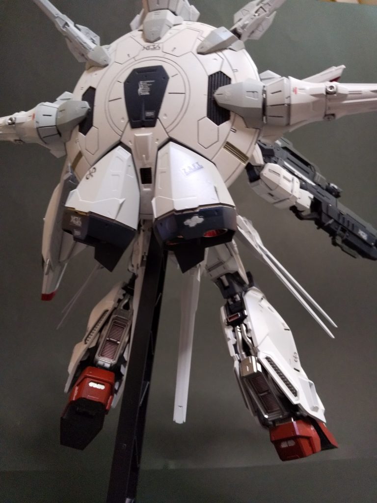 バックショットですが…
甲羅が大半ですね。