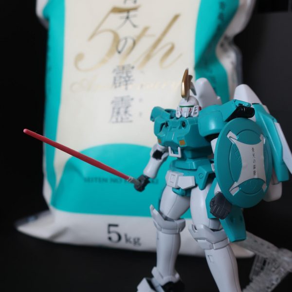 トールギスⅡ（青天の霹靂PR隊（非公認）仕様）