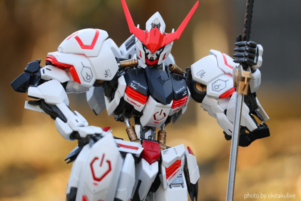 晩御飯はカレーがいいなって顔してる