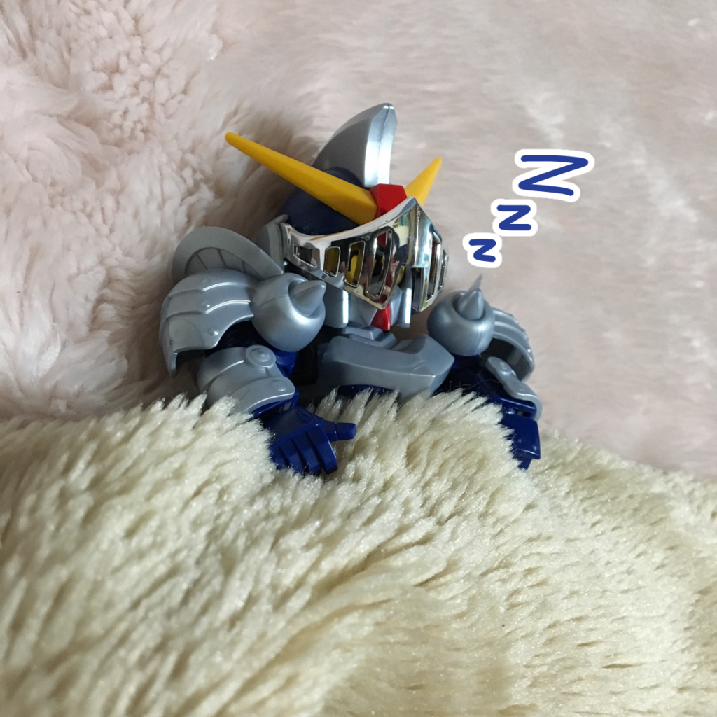 二度寝しましたね。
別に枕がなくてもいいみたいです。