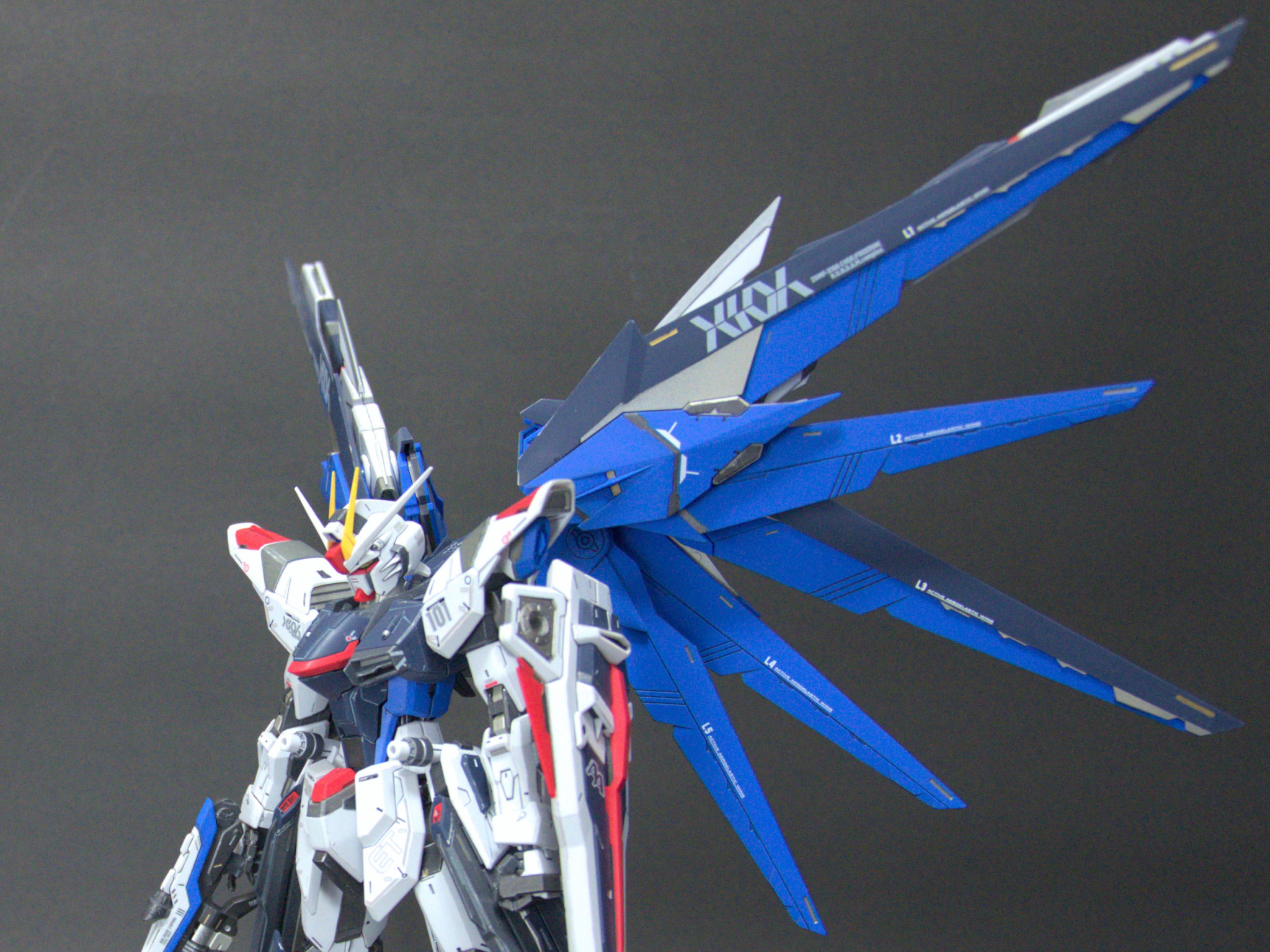 MG フリーダムガンダム Ver.2.0｜Hase205さんのガンプラ作品｜GUNSTA 