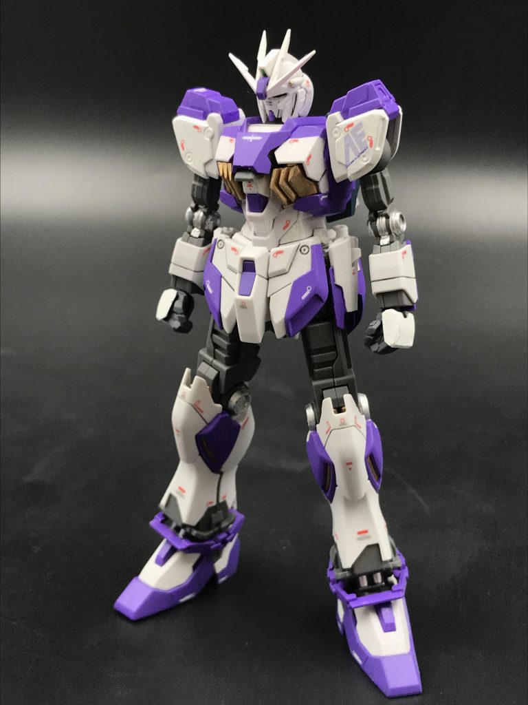 素体
Ver.Kaっぽくコーションを貼りました。