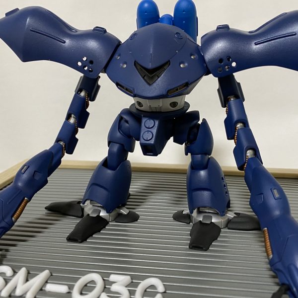 我が家の水泳部のハイゴッグさん