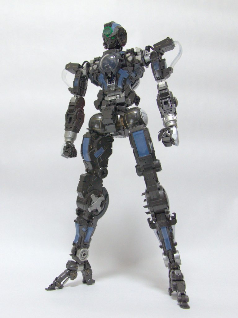 フレームのみで。これだけで一か月は楽しめました^^