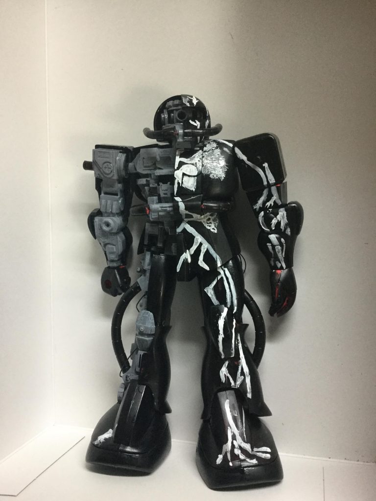 正面から写真。ちなみに背面はただの真っ黒な状態なので割愛します。