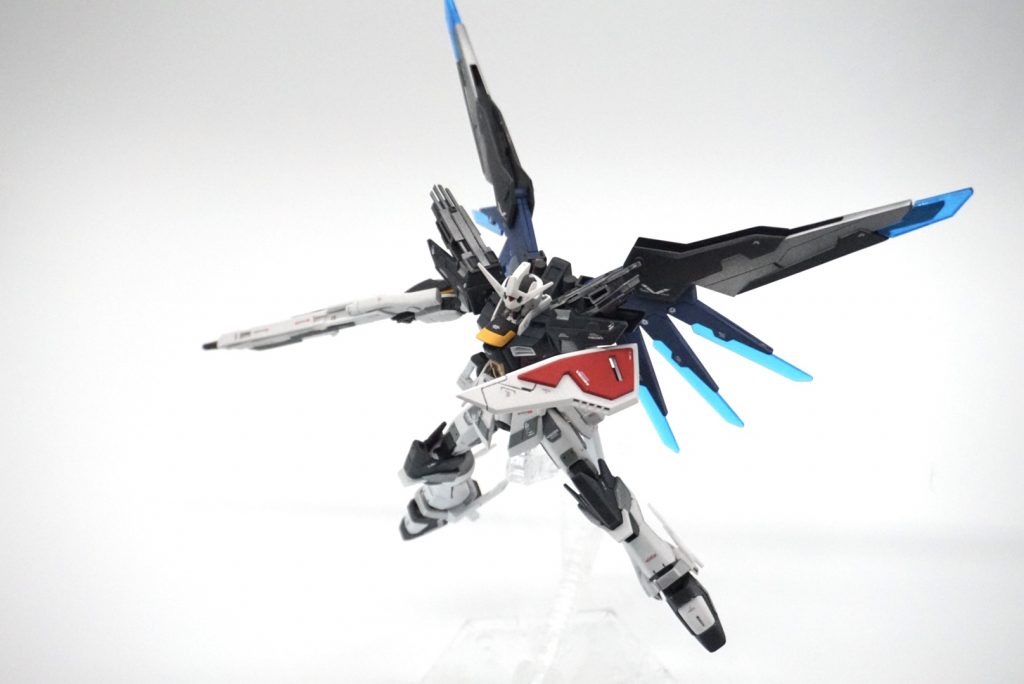 翼広げると躍動感が一気にデルネ！