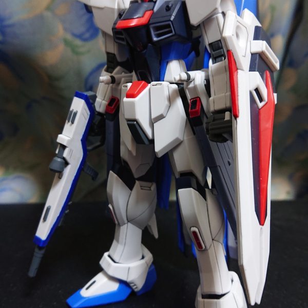 HGCE フリーダム