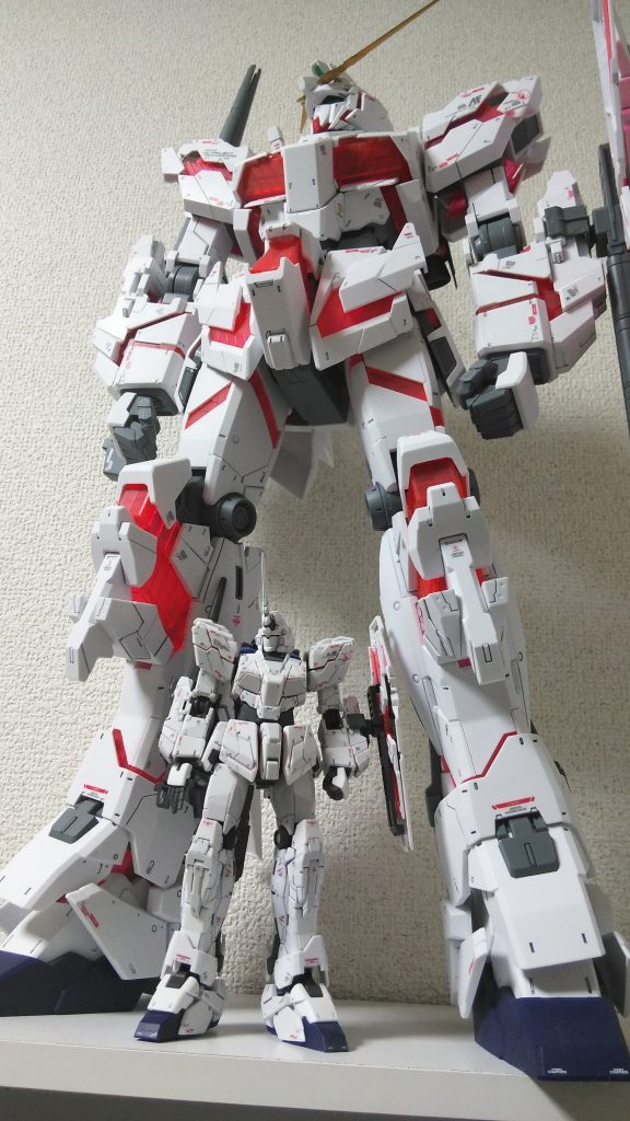 RGと比較ショット