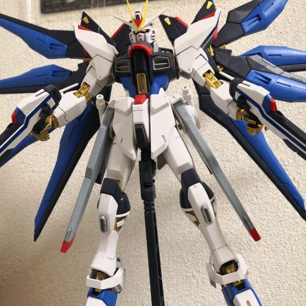 素組みストライクフリーダムガンダム