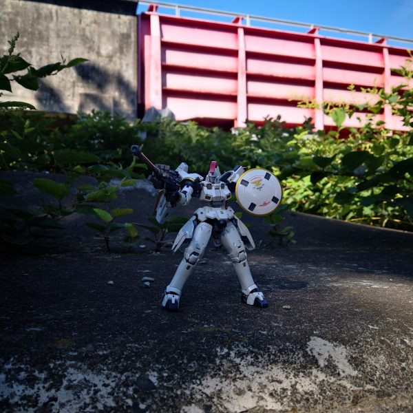 トールギス地に降り立つ