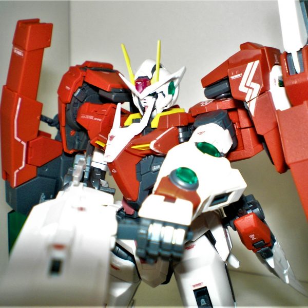 RG OOGUNDAM SEVENSWORD/G INSPECTION