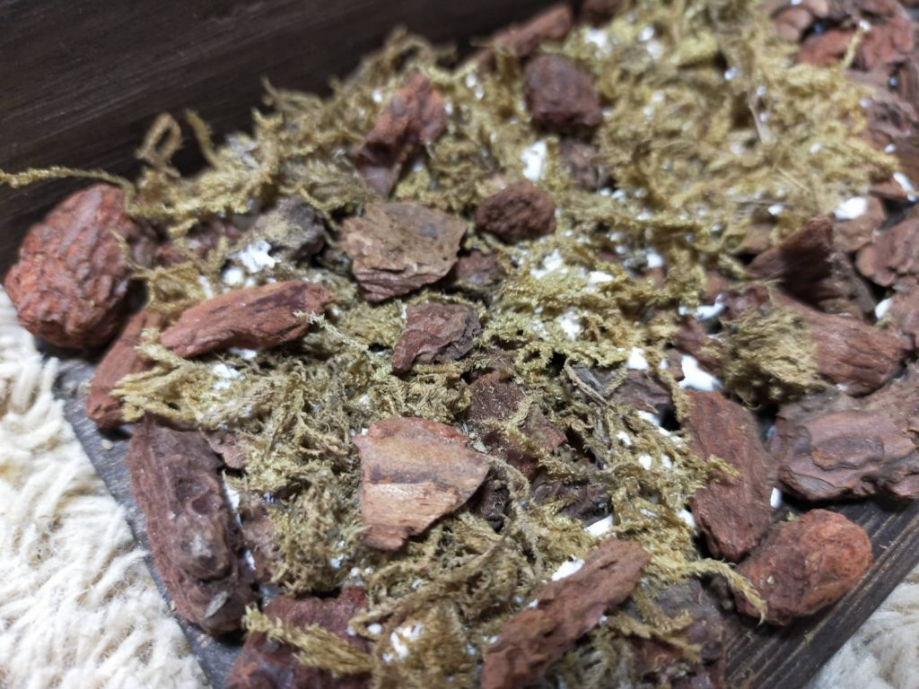 誰か拾ってあげてー–3枚目/制作者：さくたかな