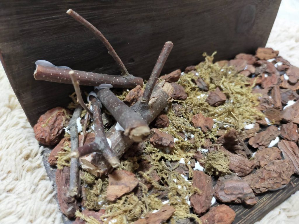 誰か拾ってあげてー–4枚目/制作者：さくたかな