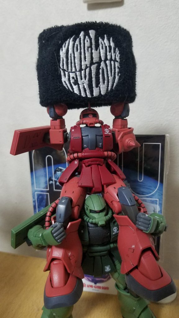 ライブで舞い上がったファンをイメージしてポーズ!!(落ちないようにね〜…)