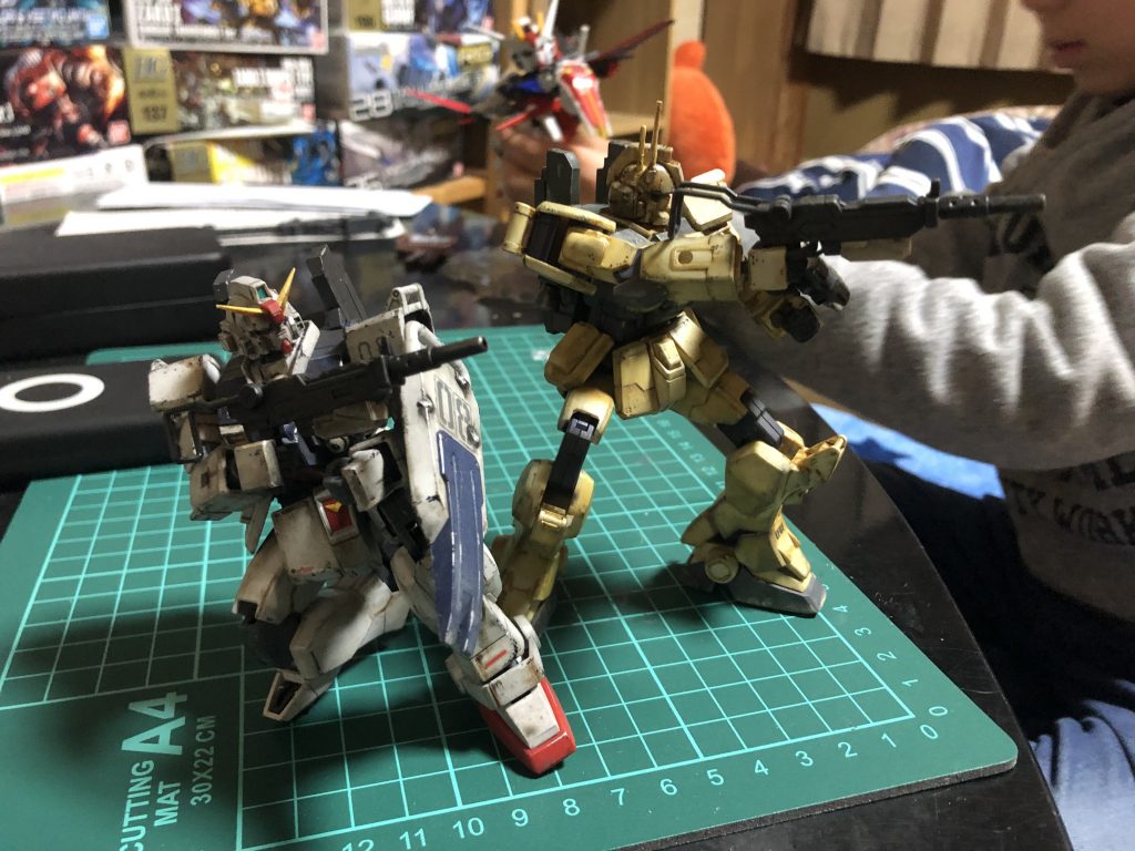 この前の陸ガンと