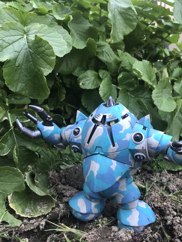 大根畑で撮影（笑）