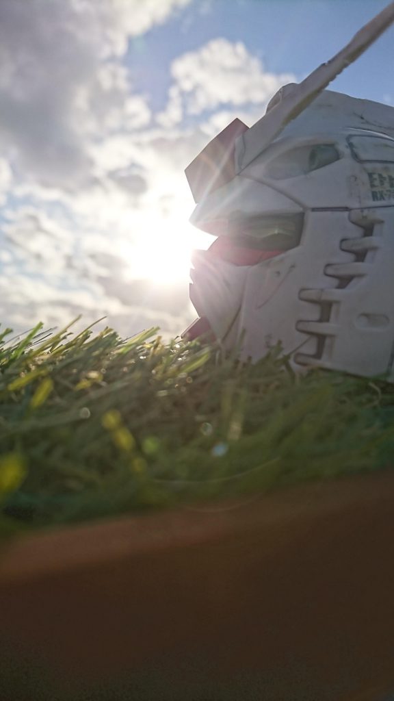 頭しかないのに撮るの楽しいです。