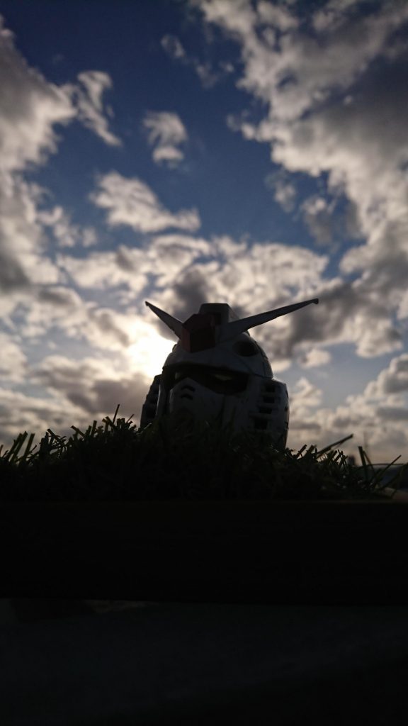 今度夕日で撮ってみよう。